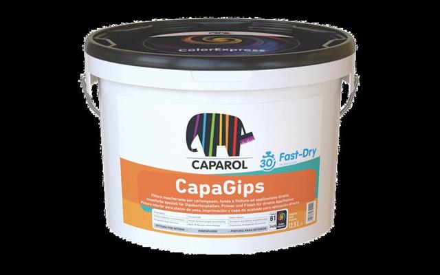 CAPAGIPS BIANCO BASE 1 LT 5